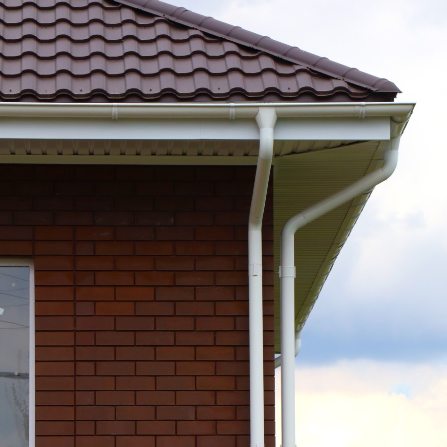 IMG_2232_1